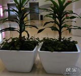 環保粘結力改善助劑，不含重金屬，適用于食品包裝復合膠的粘接強度提升